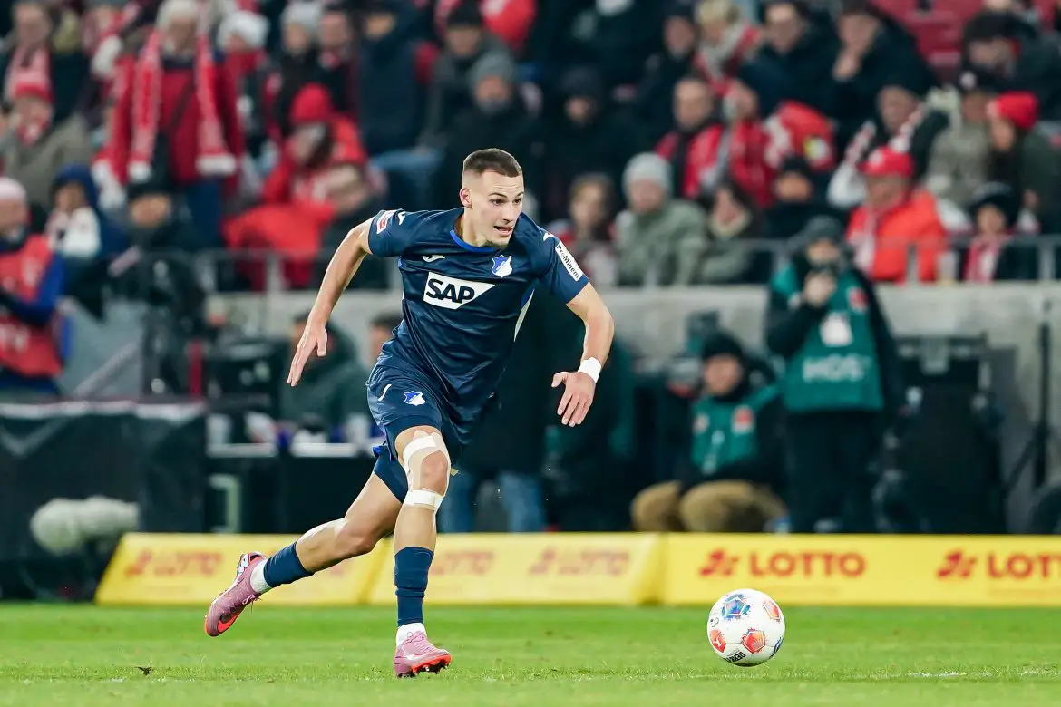 Hoffenheim striker Tim Lemperle.