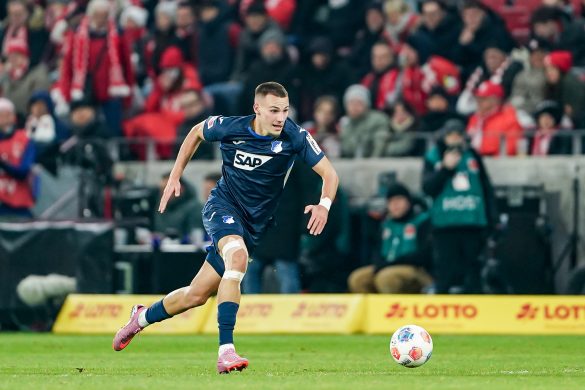 Hoffenheim striker Tim Lemperle.
