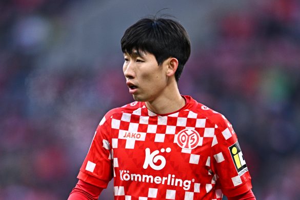 Mainz midfielder Hong Hyun-seok.