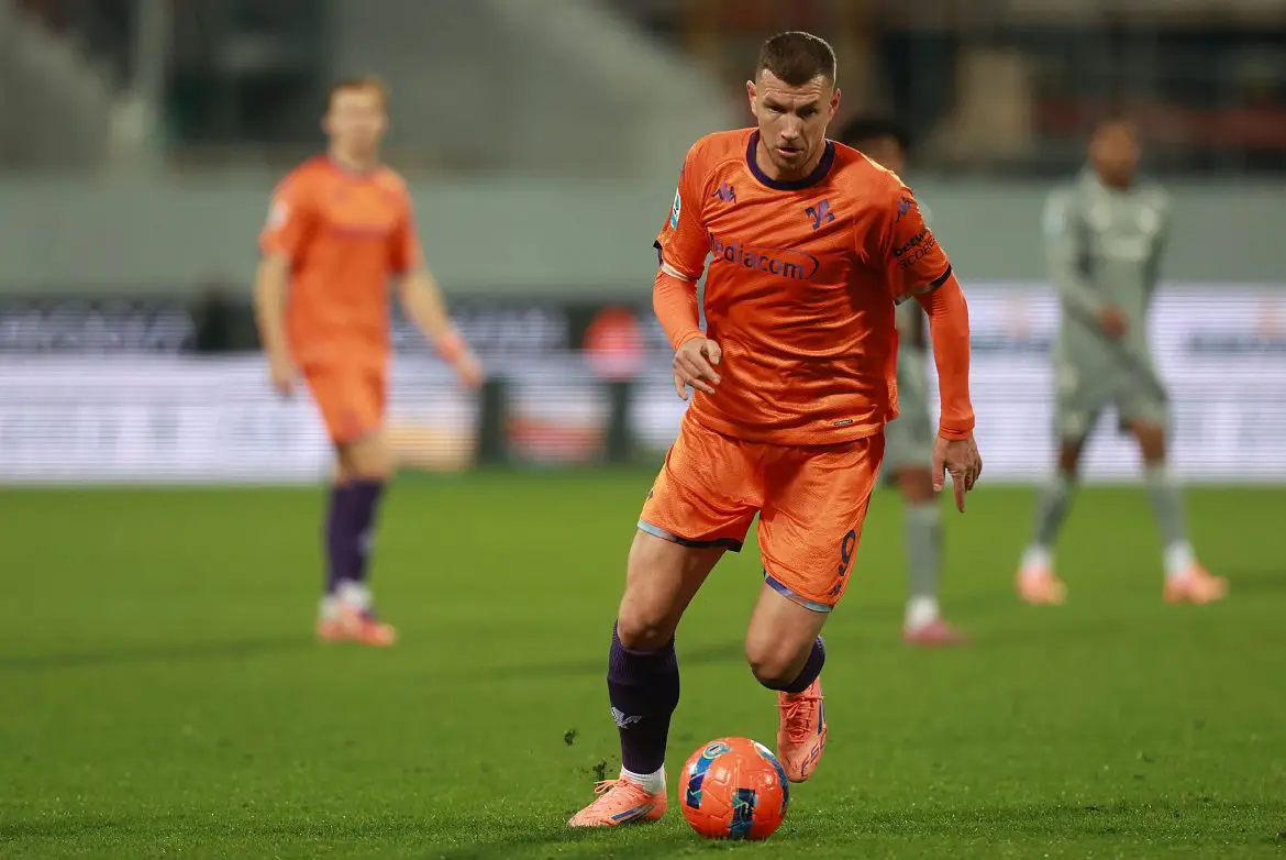 Schalke new signing Dzeko