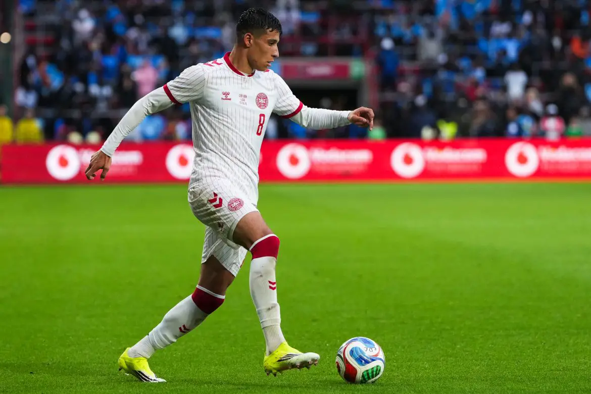 New Hoffenheim signing Adam Daghim representing Denmark internationally.