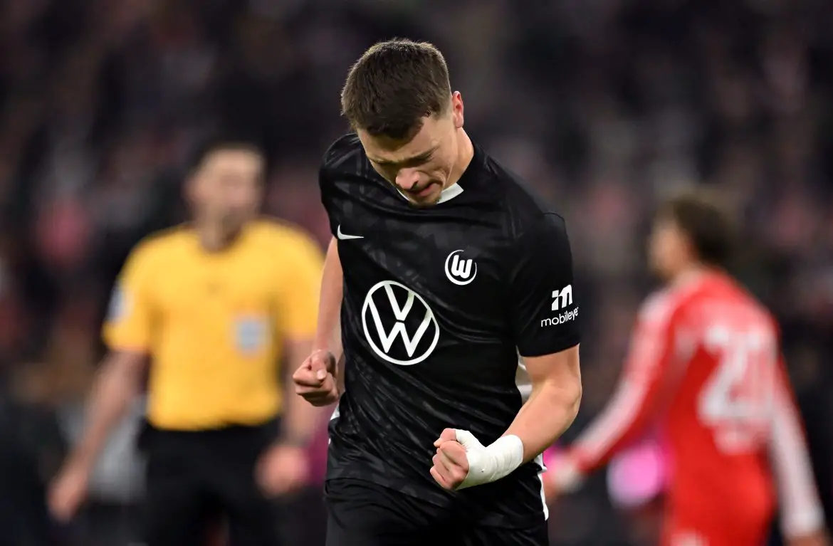 VfL Wolfsburg striker Dzenan Pejcinovic.