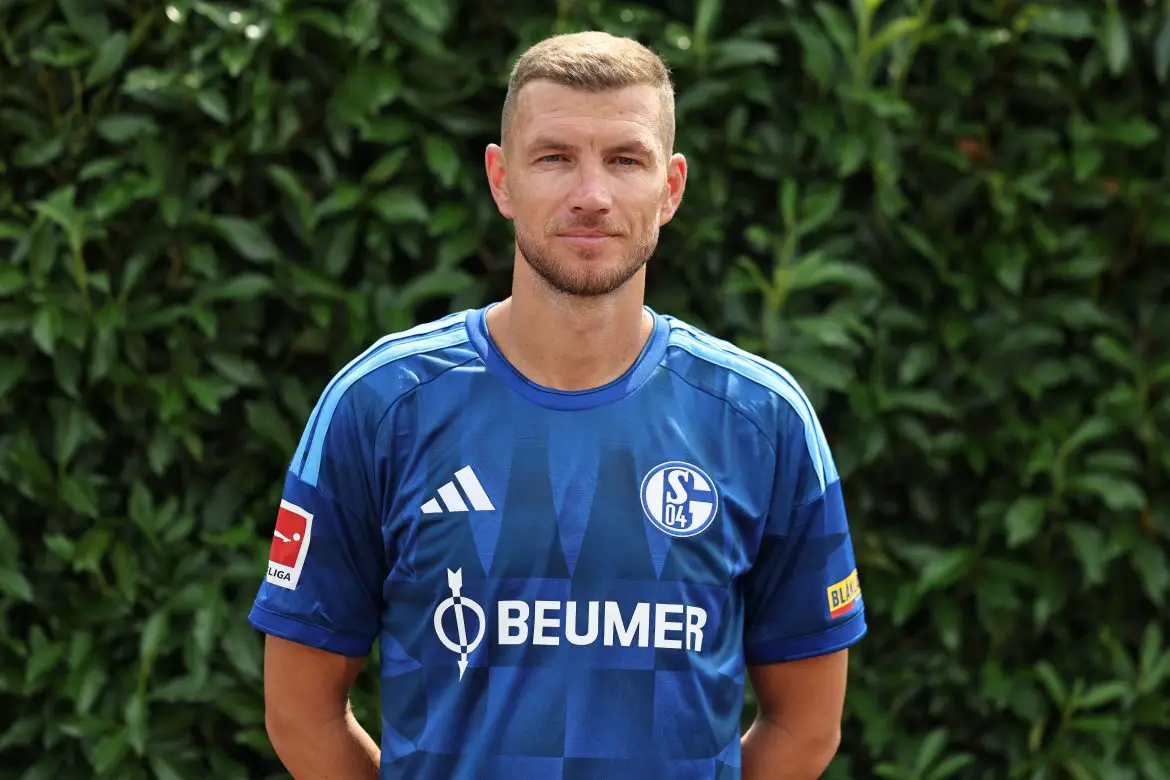 Schalke 04 striker Edin Dzeko.