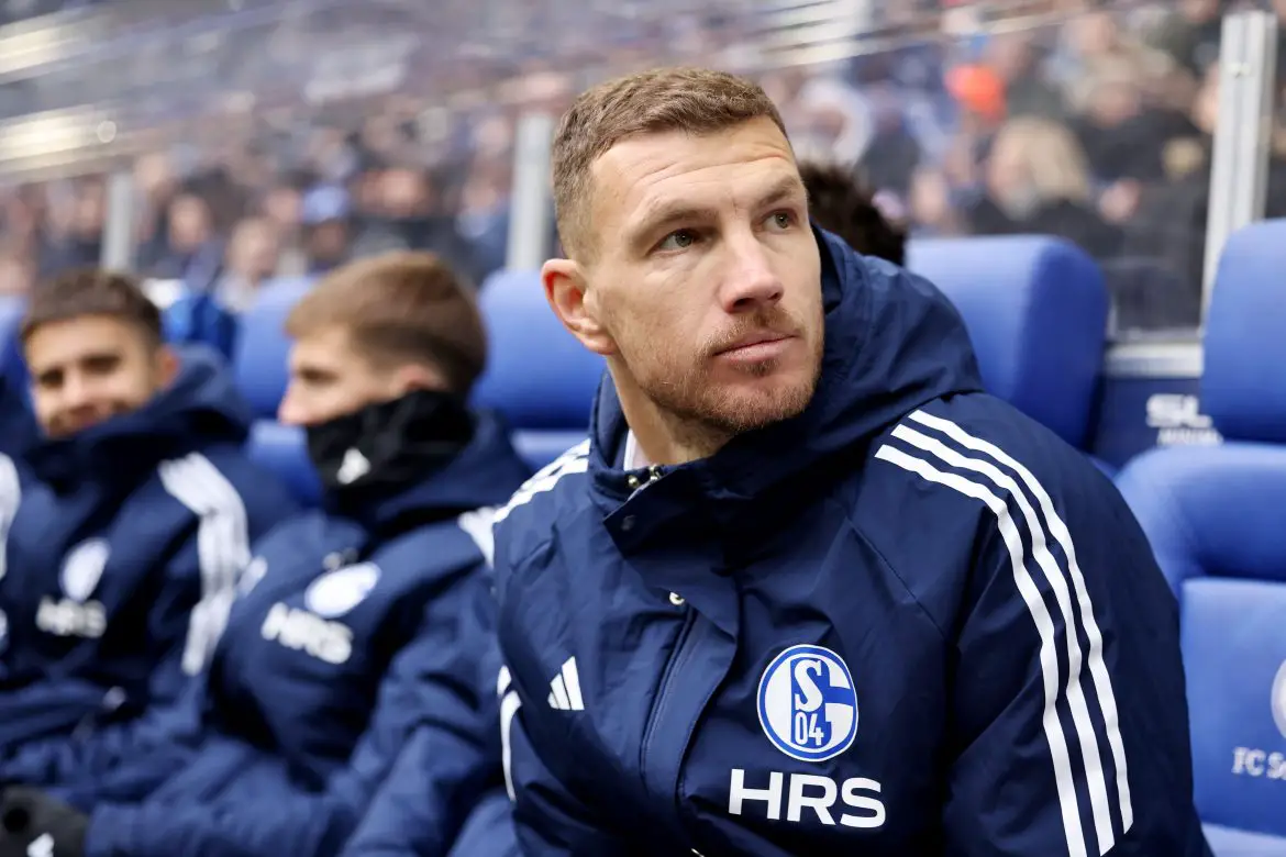 Schalke new signing Edin Dzeko.