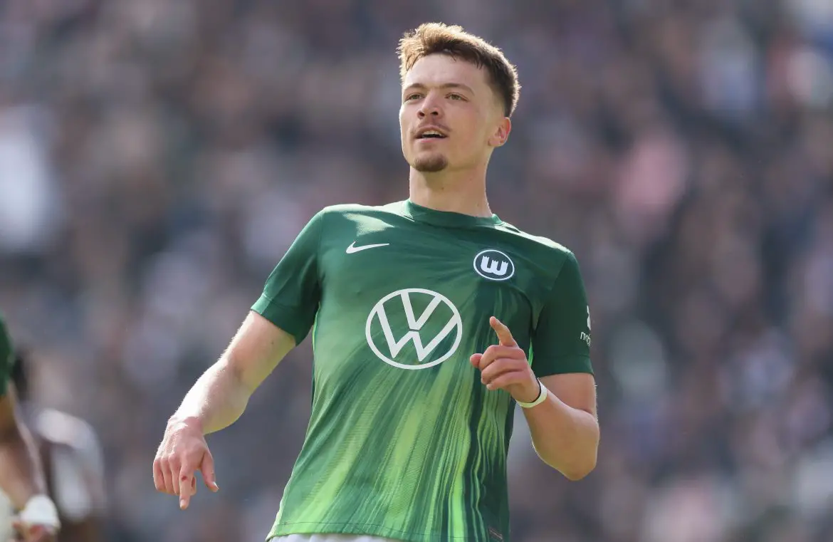 Stuttgart transfer target Dzenan Pejcinovic of Wolfsburg.