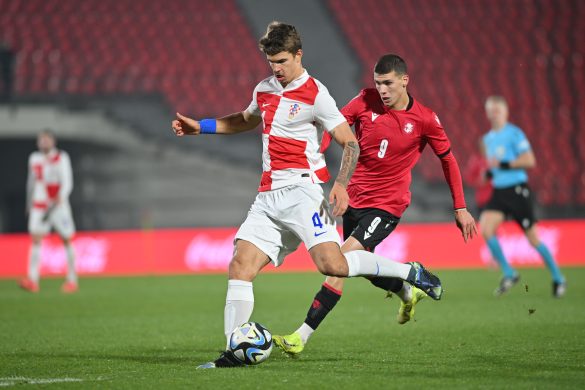 New Tottenham signing Luka Vuskovic
