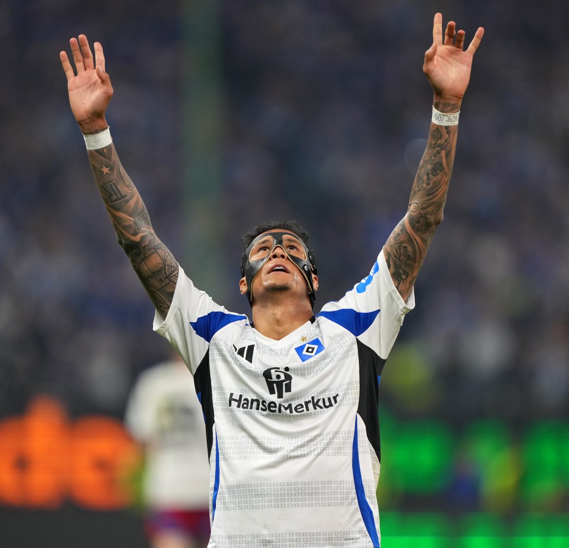 Davie Selke celebrates scoring for Hamburg.