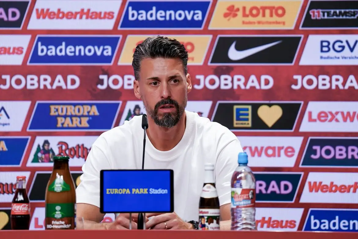 FC Augsburg head coach Sandro Wagner.