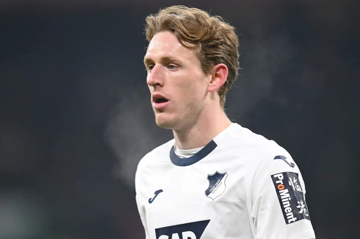 Hoffenheim midfielder Wouter Burger in the Bundesliga.