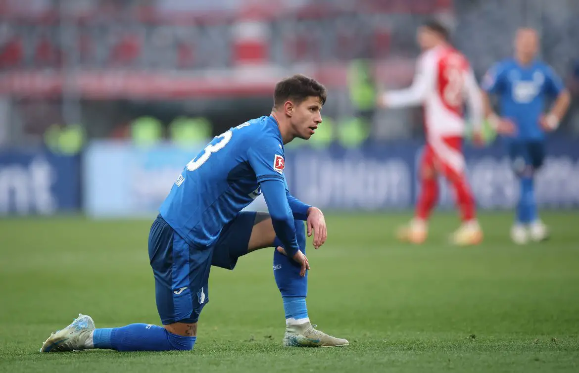 Hoffenheim attacker Adam Hlozek