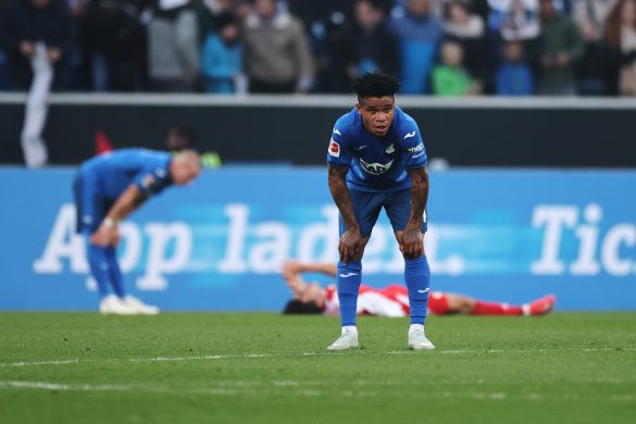 Hoffenheim striker Gift Orban.