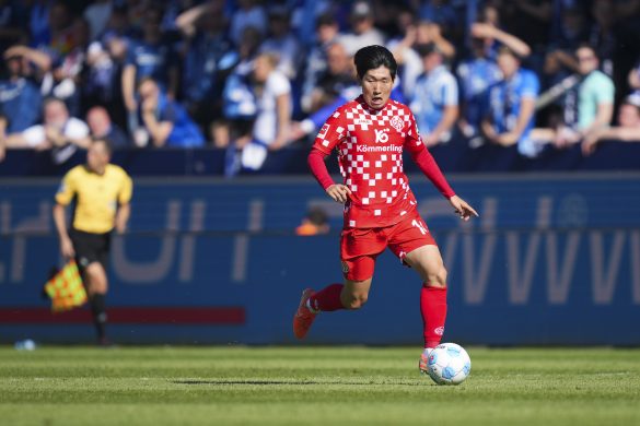 Mainz midfielder Hong Hyun-seok in the Bundesliga.