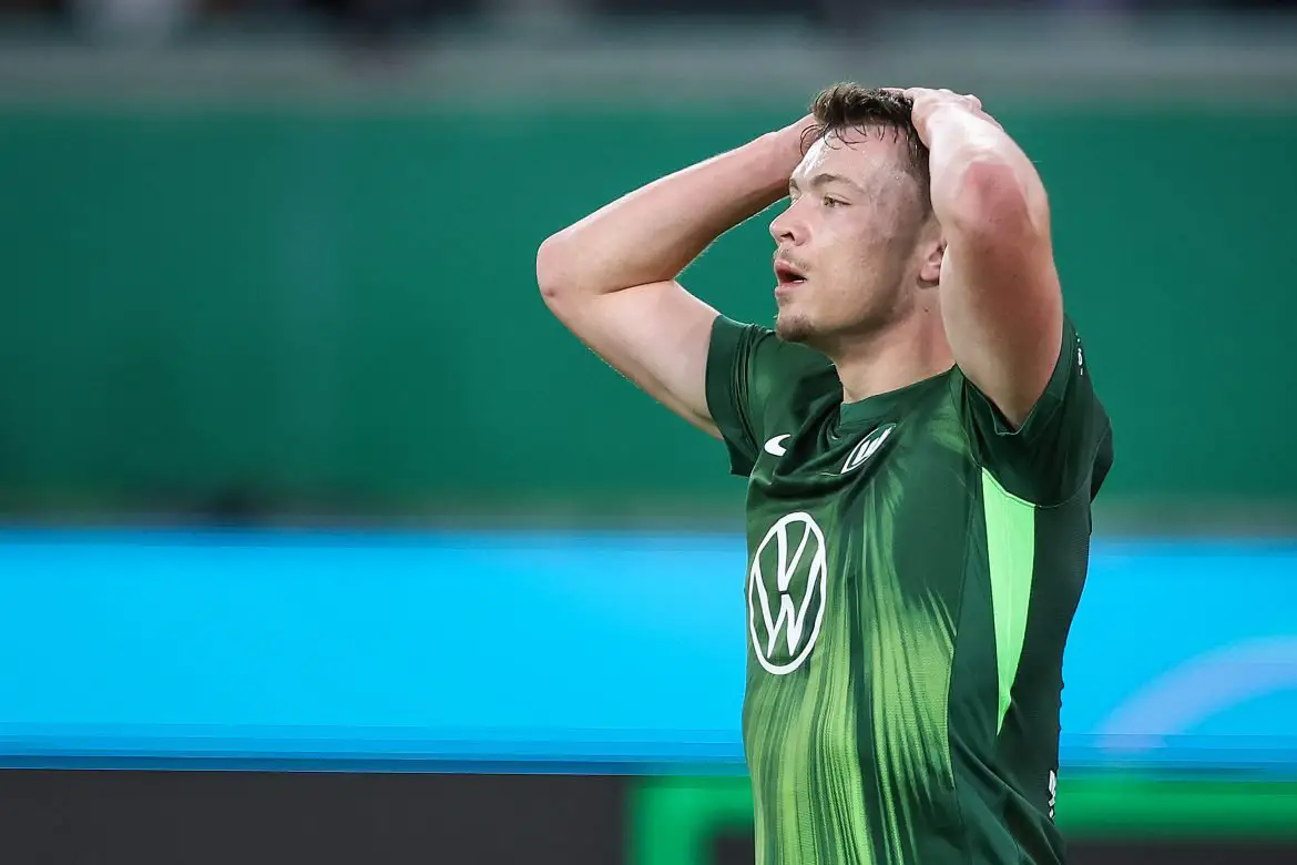 VfL Wolfsburg striker Dzenan Pejcinovic.