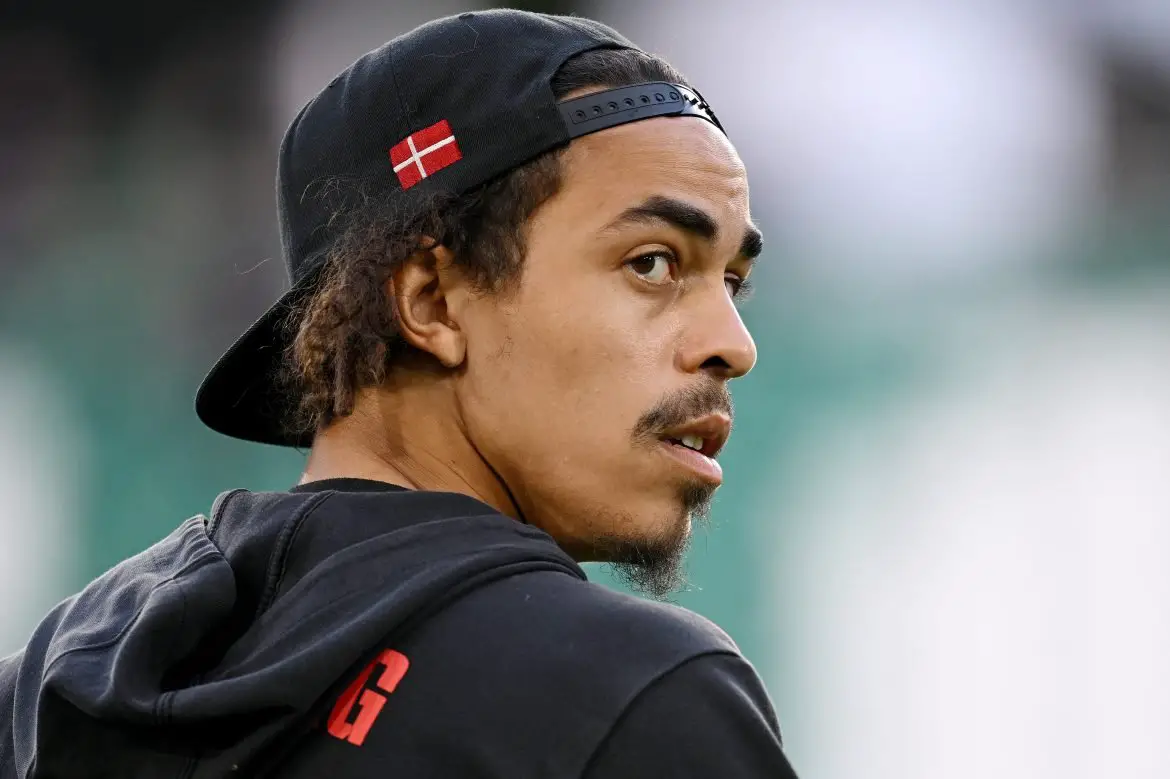 Hamburger SV have successfully wrapped up the transfers of both Nicolas Capaldo and Yussuf Poulsen.