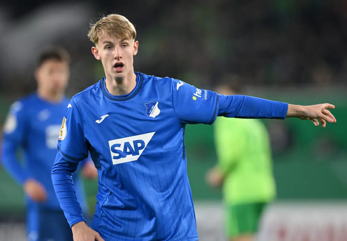 Hoffenheim striker Max Moerstedt